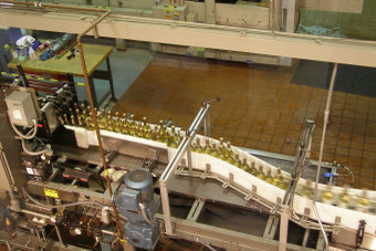 Zo behandel je varkens niet