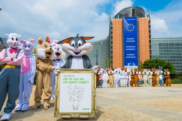 Een leger van 50 ‘konijnen’ in actie in Brussel ter gelegenheid van de overhandiging.