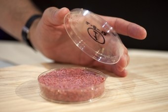 Hamburger van kweekvlees