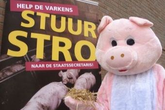 Persbericht: Start landelijke actie voor varkens in Zutphen