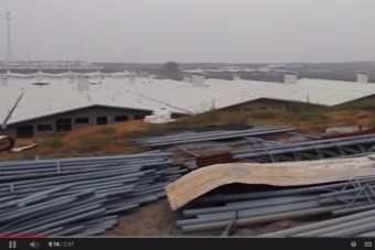Grootste varkensfabriek van de wereld?