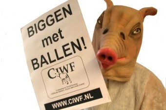 Biggen met ballen