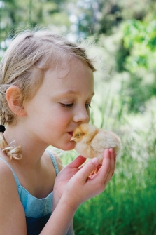 Nalaten aan Compassion in World Farming