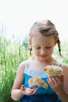 Nalaten aan Compassion in World Farming
