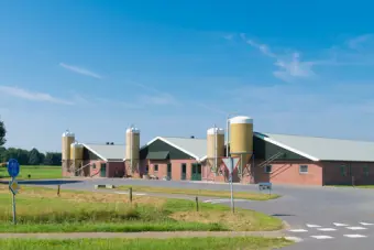 megastalnederland.jpg?mode=crop&width=340&height=227&format=webp&rnd=130712366850000000