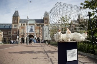 Konijnenkooien voor Rijksmuseum, Louvre en Natural History Museum