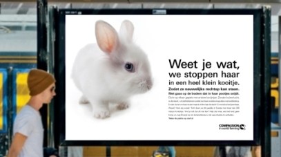 Konijnenposters op NS stations