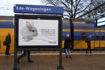 Konijnenposter Ede-Wageningen
