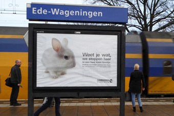 persberichten-konijnenposters.jpg