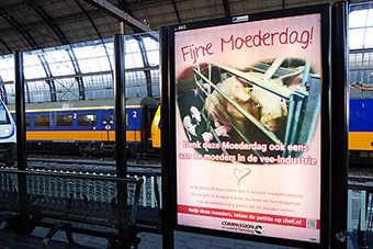 persberichten-moederdagposter.jpg