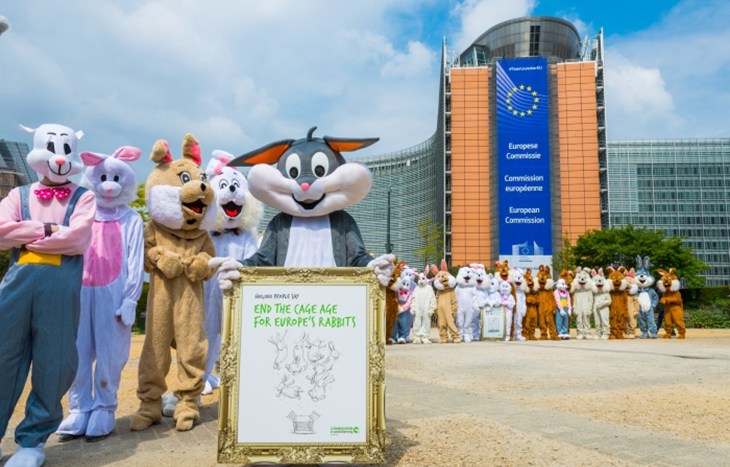 Een leger van 50 ‘konijnen’ in actie in Brussel ter gelegenheid van de overhandiging.