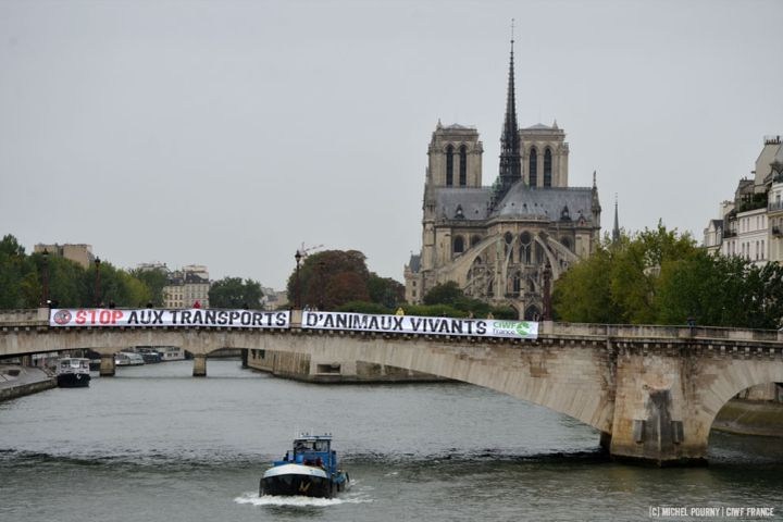 Actie CIWF France Parijs