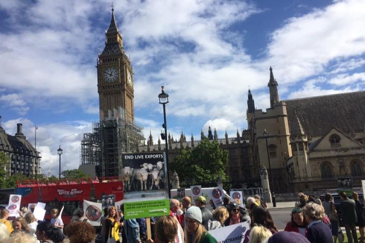 Actie CIWF UK Londen