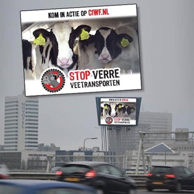 Billboard CIWF Nederland Rotterdam