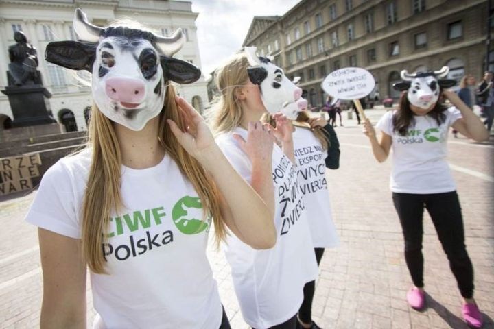 Actie CIWF Polska Warschau