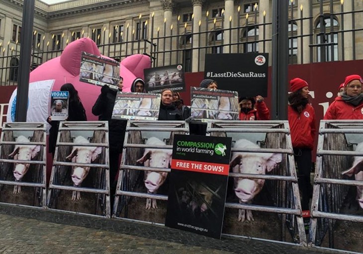 Samen met Duitse collega-organisaties demonstreerden we voor de Bundesrat in Berlijn.