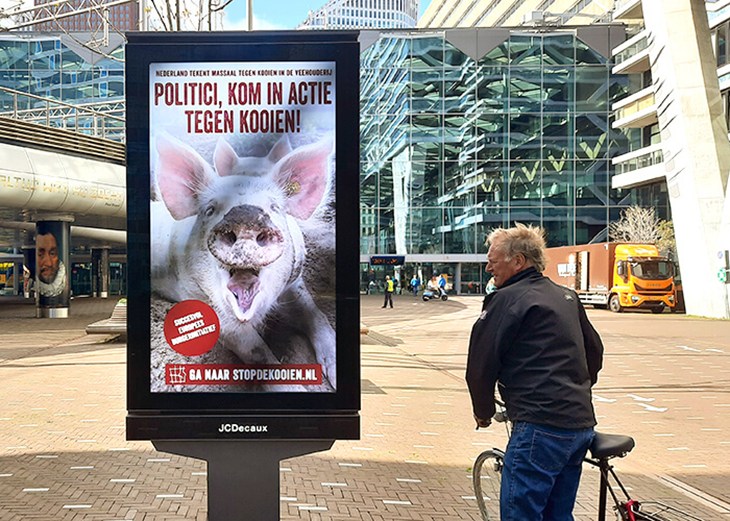 Varkensposter in Den Haag