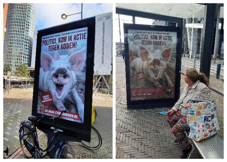 Collage varkensposter Den Haag