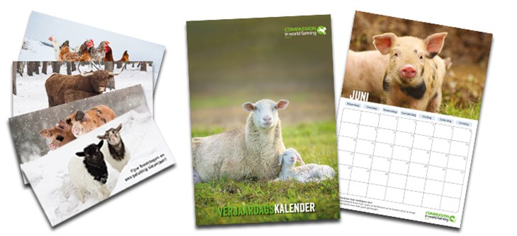 Collage van kalenders en wenskaarten