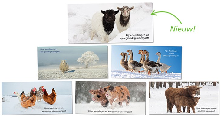 Kerstkaarten met dieren