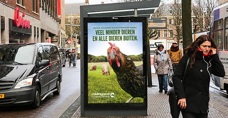 Voorbeeld van de kippenposter