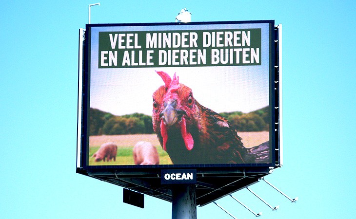 De kippenposter op de snelwegmast in Den Haag
