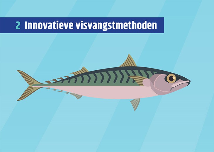 Afbeelding van een vis met een titel 'Innovatieve visvangstmethoden'
