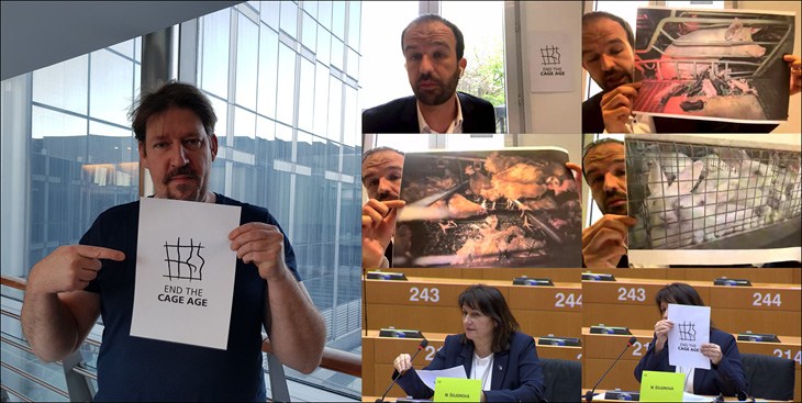 Europarlementariers Thomas Waitz, Manuel Bompard en Michaela Šojdrová spreken zich uit tegen kooien.