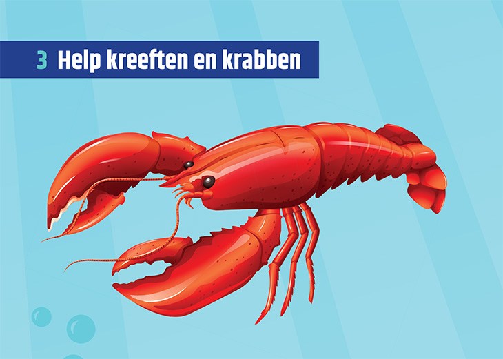 Afbeelding van een kreeft met de titel 'Help kreeften en krabben'