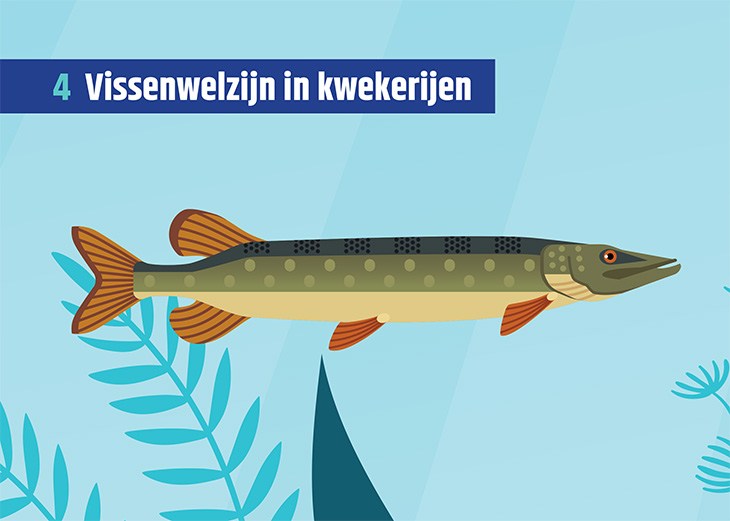 Kaart met een afbeelding van een vis en de titel 'Vissenwelzijn in kwekerijen'