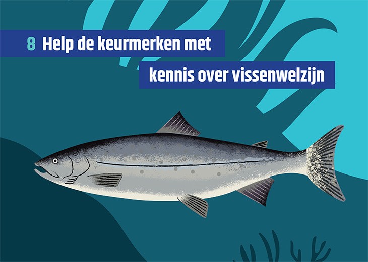Vissenkaart met de tekst 'Help de keurmerken met kennis over vissenwelzijn'