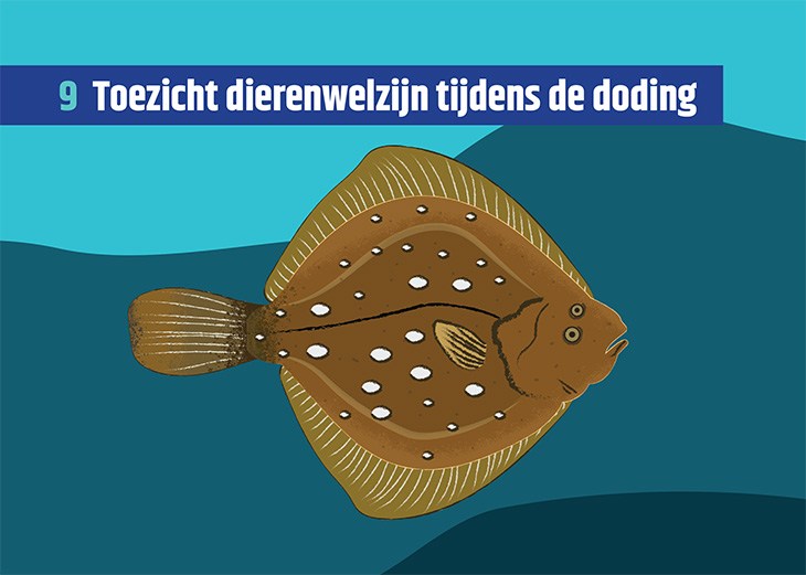 Dierenkaart met de tekst 'toezicht dierenwelzijn tijdens de doding'