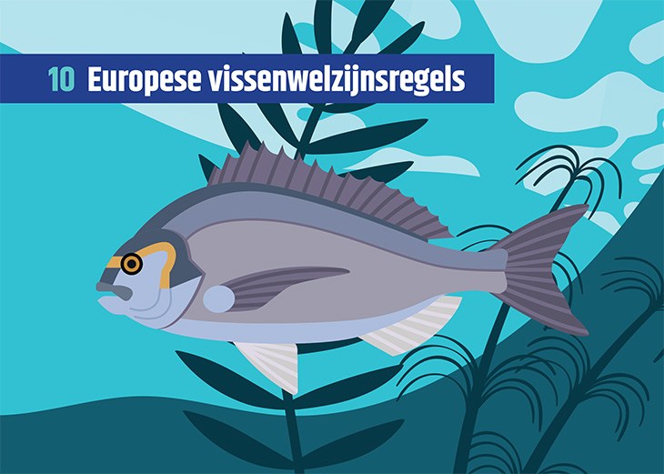 Vissenkaart met daarop de tekst 'Europese vissenwelzijnsregels'