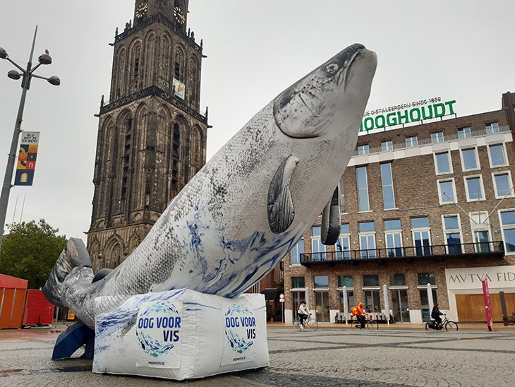 Zalm in Groningen