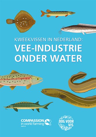 Cover van het kweekvisrapport