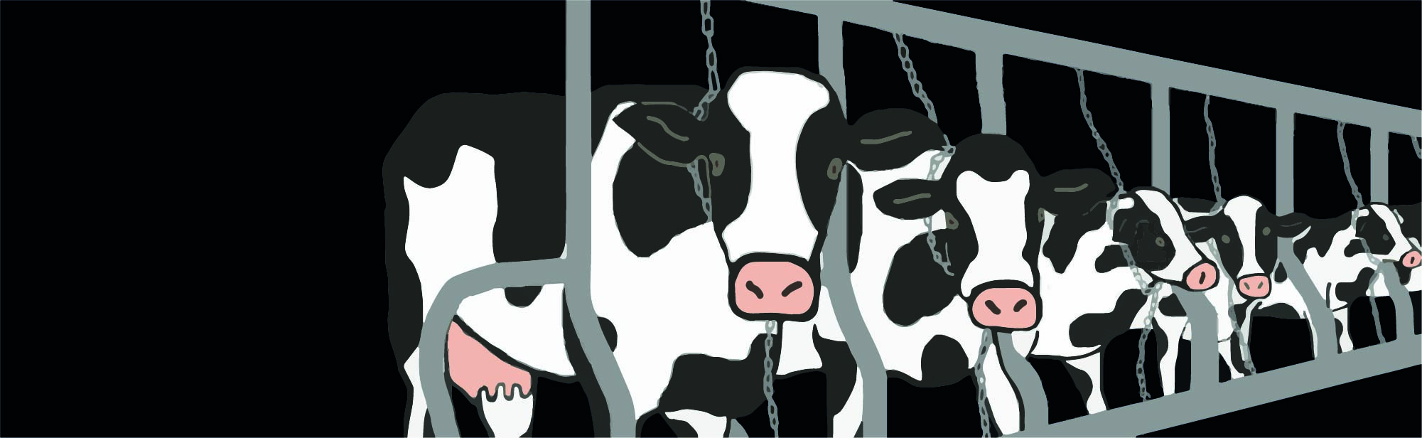 PARMEZAANSE KAAS? #NOTONMYPASTA