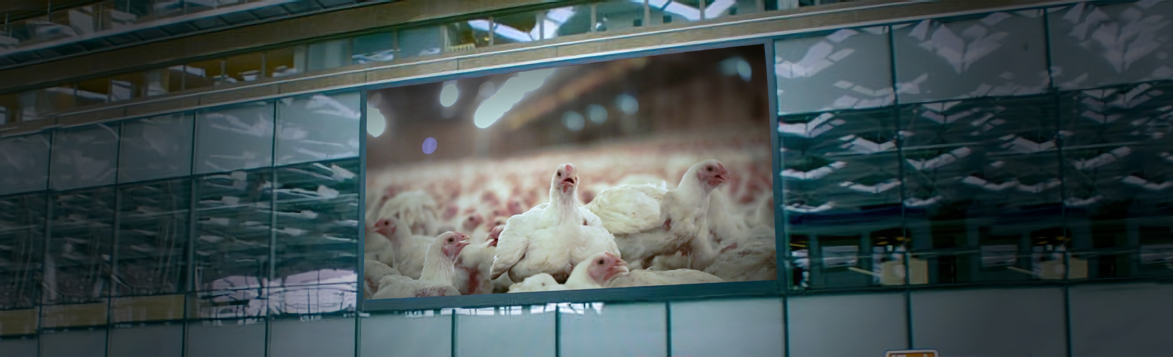 Wachten we op een nieuwe pandemie...?