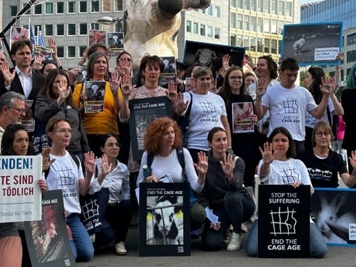 Stop de kooien demonstratie in Brussel - CIWF