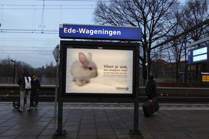2015 Trein Campagne Kooien