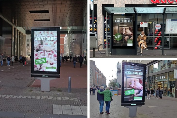 Collage met foto's van billboards met posters van de campagne 'vergeet de dieren' niet in Den Haag