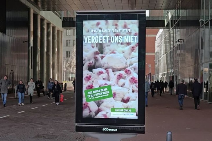 Abri Vergeet de dieren niet met kip in beeld