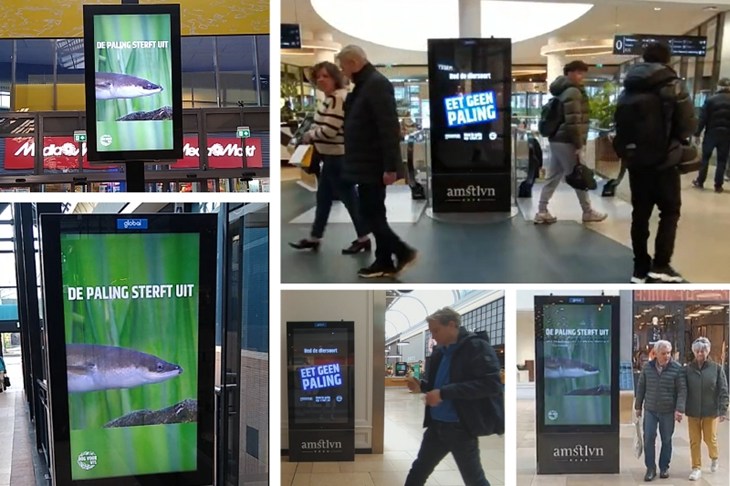 Paling videospot in winkelcentra